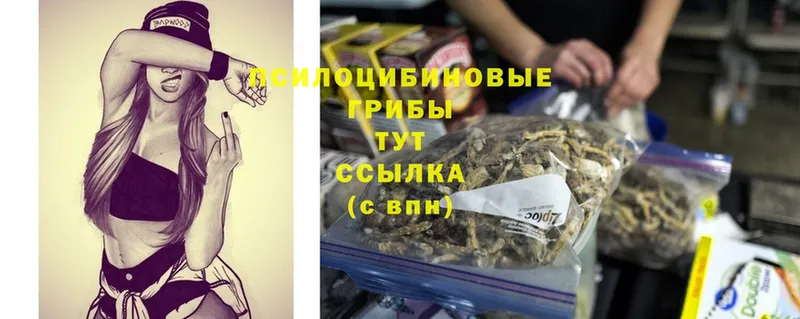 Галлюциногенные грибы Psilocybe  Ряжск 